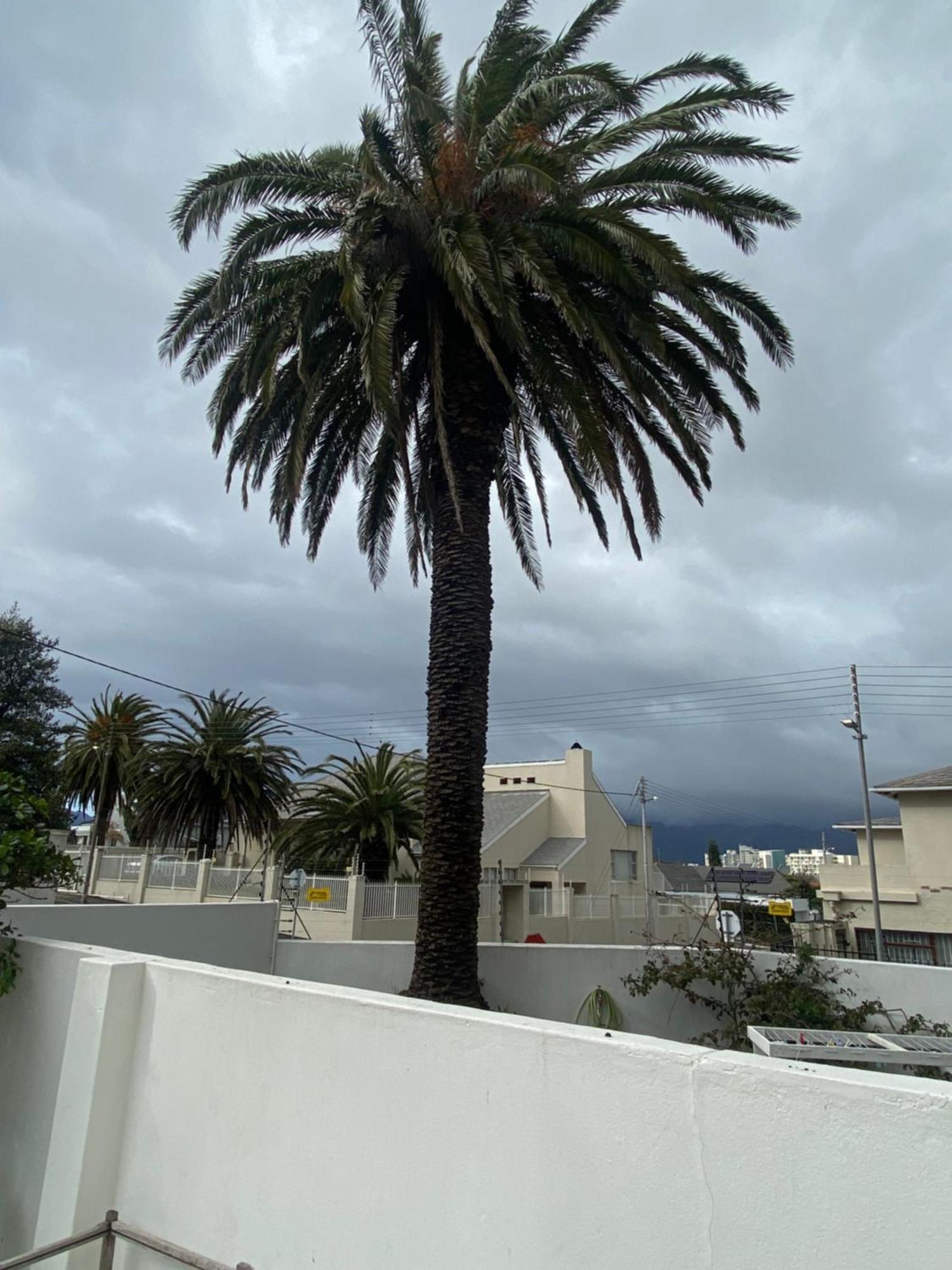 Micky'S Coziness Galore! Apartment Cape Town Bagian luar foto